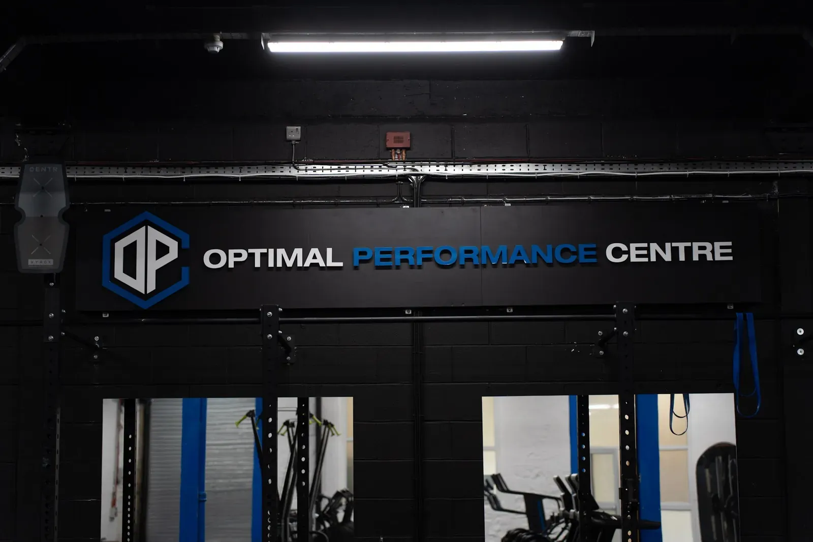Free weights area with dumbbell racks against feature wall