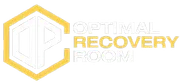 Optimal Recovery