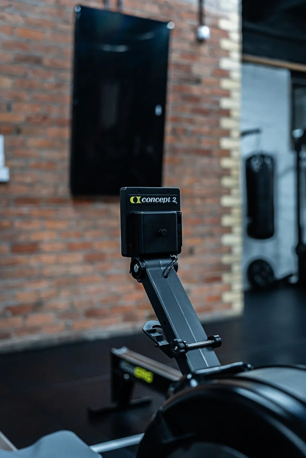 Curved manual treadmill in the functional training zone